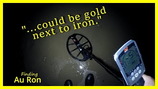 Was It Gold Next To Iron Beach Metal Detecting Using The Minelab Equinox [upl. by Lorelie736]