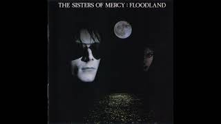 Sisters Of Mercy  quotLucretia My Reflectionquot 1987 [upl. by Osman232]