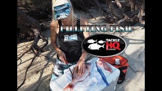 How to fillet fish with Giesser filleting knife from Tackle HQ [upl. by Assetan]