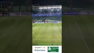 CHEGOU A HORA PALMEIRAS X NOVORIZONTINO palmeiras webradioverdao paulistão2024 allian [upl. by Deuno]