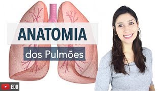 Sistema Respiratório 46 Anatomia dos Pulmões  Anatomia e etc [upl. by Ablem]