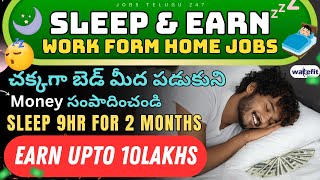 Earn Up to Rs10 Lakhs Sleeping from Home  Wakefit Sleep Internship Get Paid to Sleep Apply Now [upl. by Gan]