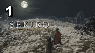 SEKIRO SHADOW DIE TWICE IMMORTAL SEVERANCE ENDING PART 1  LAST ENDING GUYSS [upl. by Meryl86]