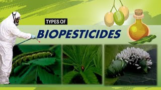 Biopesticides and its Common Types A Sustainable Solutions for Modern Agriculture [upl. by Nari]