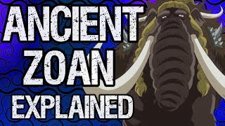 Ancient Zoan Fruits Explained  One Piece Discussion  Tekking101 [upl. by Atem22]