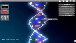 Interactive 3D DNA [upl. by Rehpotirhc]