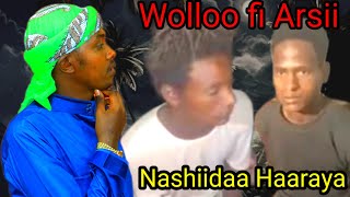 Nashiidaa Wolloo fii Arsii Foon koo [upl. by Crysta984]