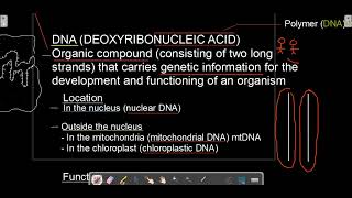 LIFE SCIENCES GRADE 12 DNA CODE OF LIFE  DNA LOCATION HISTORY STRUCTURE amp FUNCTION MADE SIMPLE [upl. by Ramedlab]