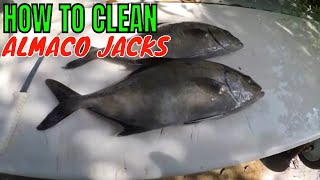 HOW TO CLEAN A ALMACO JACK [upl. by Anabel]