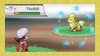 Shiny Growlithe after 9276 REs in HeartGold SBQ 6 [upl. by Clementina]