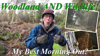 Amazing Woodland and Wildlife photography Was it my best morning out [upl. by Cinemod]