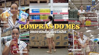 COMPRAS DO MÊS MORANDO SOZINHA VLOG  Organizando as compras do mês [upl. by Aggappe197]