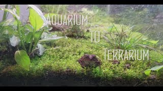 Aquarium to Terrarium [upl. by Yeta933]