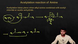 Acetylation of amine  amine react with acetyl chloride or acetic anhydride [upl. by Peisch]