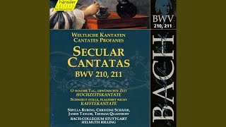 Schweigt stille plaudert nicht BWV 211 quotCoffee Cantataquot Recitative Schweigt stille [upl. by Raf]