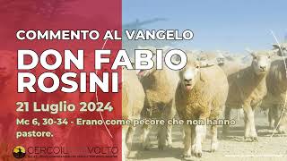 don Fabio Rosini  Commento al Vangelo di domenica 21 Luglio 2024 [upl. by Linzer]