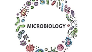 Vibrio MicrobiologyPathology MBBS [upl. by Aiuqenehs972]