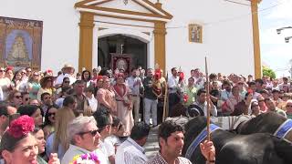 Presentación en Villamanrique Hermandad del Rocío de El Viso del Alcor 2024 [upl. by Arturo]