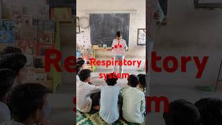 Respiratory system model Class7th viralvideo shorts respiration memes trollface [upl. by Enihpad847]