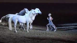 Liberty with 3 horses  Sylvia Zerbini  Night of the Horse 2016  Del Mar National Horse Show [upl. by Ruder]