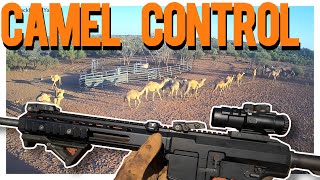 Camel Control Air Mobilised [upl. by Brigida961]