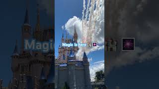 Daytime fireworks from Cinderella’s castle disney magickingdom waltdisneyworld [upl. by Yrrap]