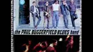 PAUL BUTTERFIELD BLUES BAND quotBABY PLEASE DONT GOquot LIVE [upl. by Aivuy]