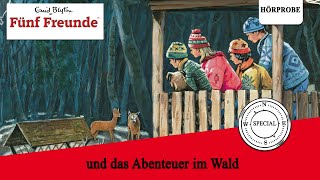 Fuenf Freunde  Adventskalender 2021 Fünf Freunde und das Abenteuer im Wald  Hörspiel [upl. by Fania]