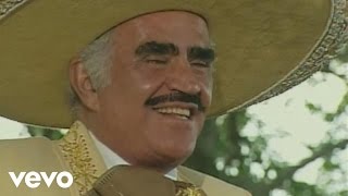 Vicente Fernández  Un Millon De Primaveras [upl. by Chon]