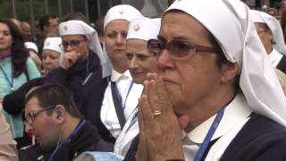 Pellegrinaggio Nazionale a Lourdes 2016 [upl. by Eadmund]