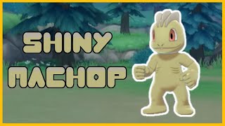 First Shinies in BDSP  LIVE Shiny Machop x6 Pokemon Brilliant Diamond [upl. by Ausoj327]