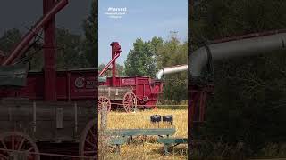 harvest of the Past ukraine village ❤️💐 lovehistory 💐❤️🌎 alberta [upl. by Rodd77]