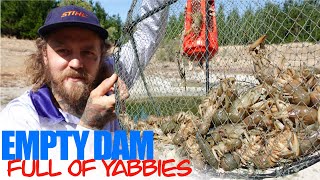 My BIGGEST Haul of Yabbies  EMPTY Dam Full of Yabbies [upl. by Findlay]