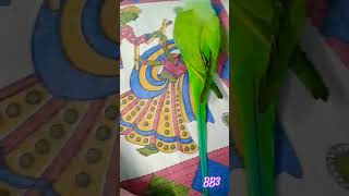 Ami je bb3 new songs status shortsfeed shorts youtubeshorts ytshorts trending cute funny [upl. by Balough315]