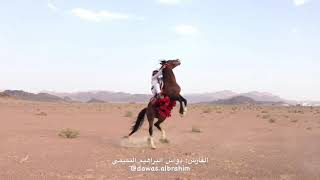 horse riding in arabic song [upl. by Raviv933]