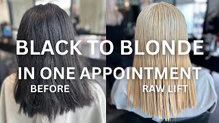 Epic Black to Blonde Hair Transformation OneDay Color Correction Tutorial [upl. by Nivlem637]