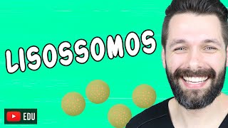 LISOSSOMOS E DIGESTÃO CELULAR  Citologia  Biologia com Samuel Cunha [upl. by Notnirb542]