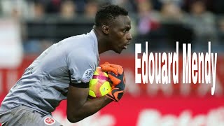 Edouard Mendy  the best saves [upl. by Hendricks449]