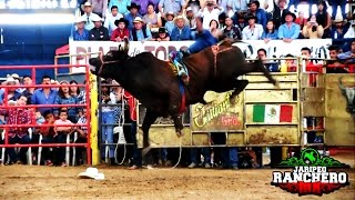 ¡¡¡YA NADIE PUEDE CONTRA LOS DESTRUCTORES 20 TORAZOS EN EL RELICARIO DE MORELIA [upl. by Ikik493]