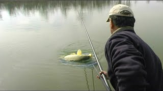 Pecanje šarana i bele ribe na Žičkom jezeru kod Kraljeva  Pecanje na štek štap  Fishing carp [upl. by Eniamreg]