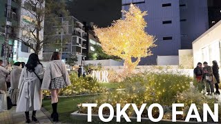 表参道・南青山・原宿散歩 【4K】 Night Walking Omotersando Minami Aoyama and Harajuku Tokyo Japan Nov 2023 [upl. by Yntrok233]