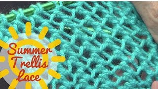 Summer Trellis Lace Stitch [upl. by Neerual]