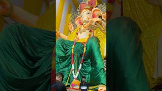 ganpati bappa ganesh ganeshchaturthi trending ytshorts [upl. by Oretna]