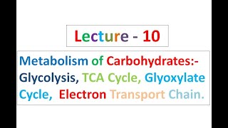 Lecture  10 Biochemistry [upl. by Ainezey]