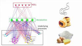 Dr Rianne Fijten  The biological origin of volatile organic compounds in exhaled breath [upl. by Fortunato404]