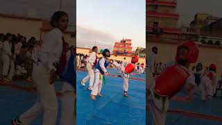 Lumbini pradesh taekwondo championship [upl. by Ahsilav241]