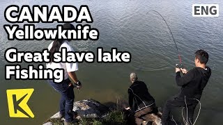 【K】Canada TravelYellowknife캐나다 여행옐로나이프그레이트 슬레이브 호수 낚시Great slave lakeFishingWildness [upl. by Avera350]