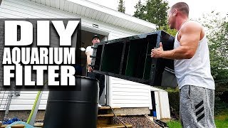 IT WORKS DIY Aquarium filter complete and fish fed  The King of DIY [upl. by Nepean]