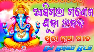 Ganesh Puja Special Bhajan Dj Remix 2024 Dj Babu Bls [upl. by Ellenwad]