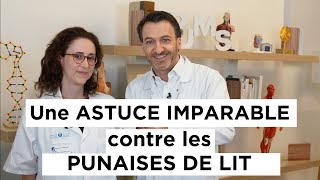 Comment se DÉBARRASSER des PUNAISES DE LIT [upl. by Acinyt]